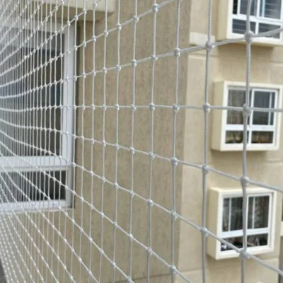 Building Bird Net